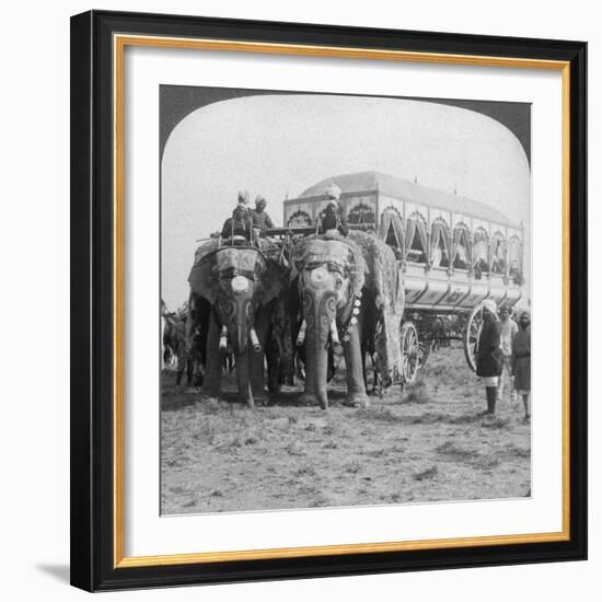 Richly Adorned Elephants and Carriage of the Maharaja of Rewa at the Delhi Durbar, India, 1903-Underwood & Underwood-Framed Giclee Print