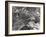 Richly Patterned Fields Surrounding the Houses in the Neckar River Valley near Heidelberg-Margaret Bourke-White-Framed Photographic Print