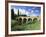 Richmond Bridge, Built in 1823, and the Oldest Road Bridge in Australia, Tasmania, Australia-G Richardson-Framed Photographic Print