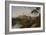 Richmond Castle, Yorkshire-James Webb-Framed Giclee Print