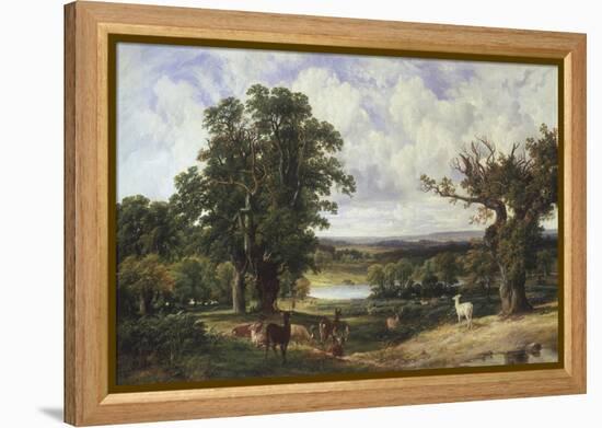 Richmond Park-John F. Tennant-Framed Premier Image Canvas