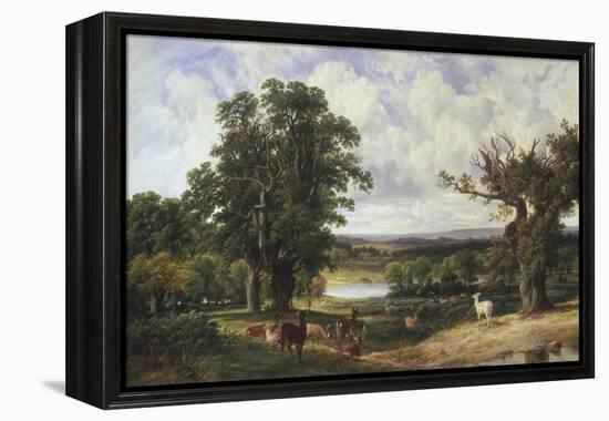 Richmond Park-John F. Tennant-Framed Premier Image Canvas