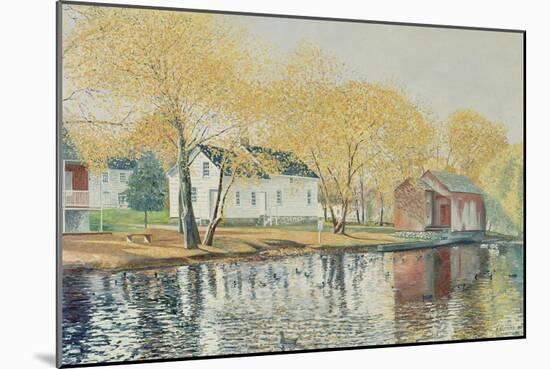 Richmondtown Pond, Richmondtown, Staten Island, 1995-Anthony Butera-Mounted Giclee Print