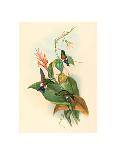 Lafresnaya Flavicaudata (Buff-Tailed Velvet-Breast), Colored Lithograph-Richter & Gould-Framed Giclee Print