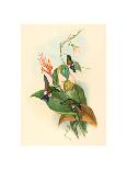 Excalftoria Minima (Blue-Breasted Quail), Colored Lithograph-Richter & Gould-Framed Giclee Print