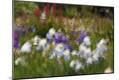 Premium Photographic Print