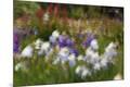 Premium Photographic Print