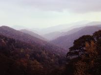 Smoky Mountains in the Mist-Rick Barrentine-Photographic Print
