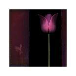 Red Tulip I-Rick Filler-Framed Giclee Print