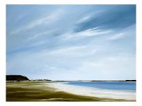 Inshore-Rick Fleury-Stretched Canvas