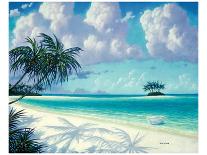 Palm Impressions 08-Rick Novak-Art Print