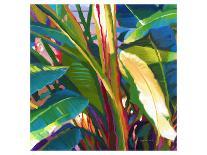 Palm Impressions 08-Rick Novak-Art Print