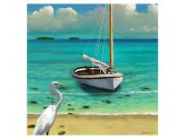 Cast Away Isle-Rick Novak-Art Print