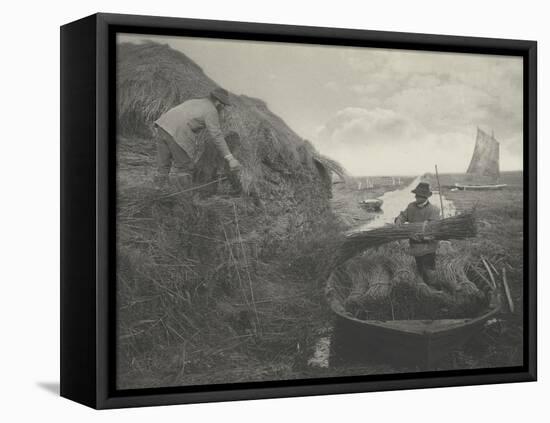 Ricking the reed-Peter Henry Emerson-Framed Premier Image Canvas