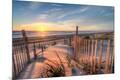 Premium Photographic Print