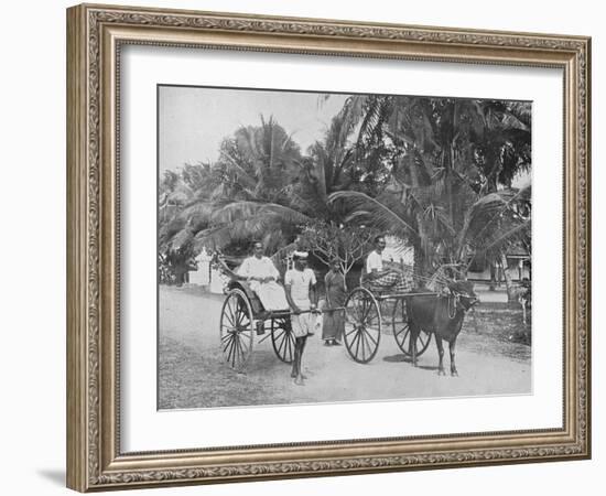 'Rickshaw and Racing Hackery', c1890, (1910)-Alfred William Amandus Plate-Framed Photographic Print