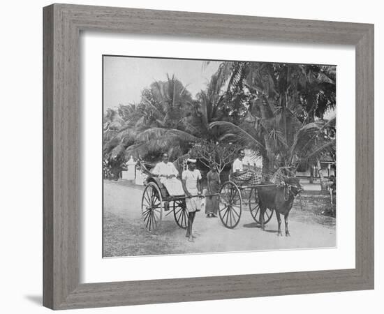 'Rickshaw and Racing Hackery', c1890, (1910)-Alfred William Amandus Plate-Framed Photographic Print