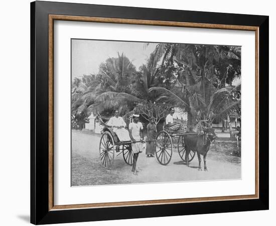 'Rickshaw and Racing Hackery', c1890, (1910)-Alfred William Amandus Plate-Framed Photographic Print