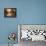 Ricochet II-Simon Addyman-Framed Stretched Canvas displayed on a wall