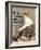 Ride a Stearns, 1896-Edward Penfield-Framed Giclee Print