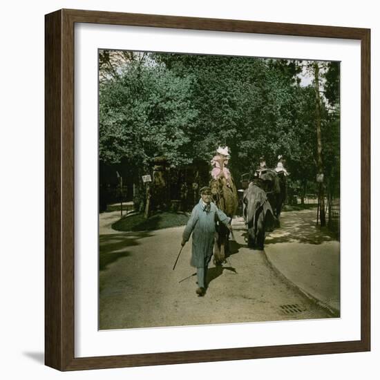 Ride on a Elephant and on a Camel, at the Jardin of Acclimatation, Paris (XVIth Arrondissement)-Leon, Levy et Fils-Framed Photographic Print