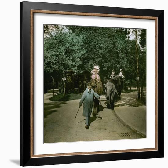 Ride on a Elephant and on a Camel, at the Jardin of Acclimatation, Paris (XVIth Arrondissement)-Leon, Levy et Fils-Framed Photographic Print