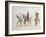 Riders, 1880S-Henri de Toulouse-Lautrec-Framed Giclee Print