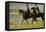 Riders on the Beach, 1903-Max Liebermann-Framed Premier Image Canvas