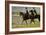 Riders on the Beach, 1903-Max Liebermann-Framed Giclee Print