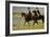 Riders on the Beach, 1903-Max Liebermann-Framed Giclee Print