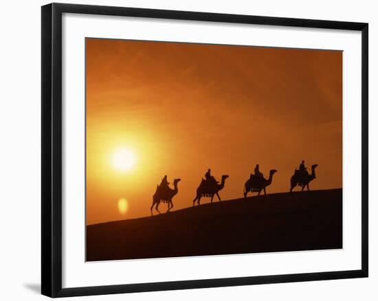 Riders Silhouetted on Camels at Sunset, Giza, Cairo, Egypt, North Africa, Africa-Nigel Francis-Framed Photographic Print