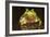 Ridged Tree Frog (Hyla Plicata), Milpa Alta Forest, Mexico, September-Claudio Contreras Koob-Framed Photographic Print