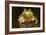 Ridged Tree Frog (Hyla Plicata), Milpa Alta Forest, Mexico, September-Claudio Contreras Koob-Framed Photographic Print