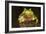 Ridged Tree Frog (Hyla Plicata), Milpa Alta Forest, Mexico, September-Claudio Contreras Koob-Framed Photographic Print