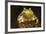 Ridged Tree Frog (Hyla Plicata), Milpa Alta Forest, Mexico, September-Claudio Contreras Koob-Framed Photographic Print