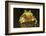 Ridged Tree Frog (Hyla Plicata), Milpa Alta Forest, Mexico, September-Claudio Contreras Koob-Framed Photographic Print