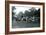 Riding Animals Bedecked for the Peace Day Celebrations, 19th July 1919-Frederick William Bond-Framed Photographic Print