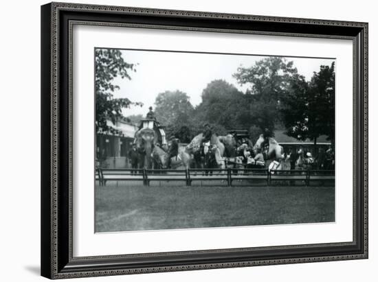 Riding Animals Bedecked for the Peace Day Celebrations, 19th July 1919-Frederick William Bond-Framed Photographic Print