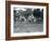 Riding Animals Bedecked for the Peace Day Celebrations, 19th July 1919-Frederick William Bond-Framed Photographic Print