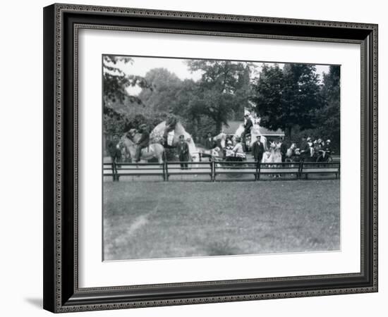 Riding Animals Bedecked for the Peace Day Celebrations, 19th July 1919-Frederick William Bond-Framed Photographic Print