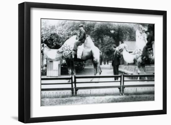 Riding Camels Bedecked for the Peace Day Celebrations, 19th July 1919-Frederick William Bond-Framed Photographic Print