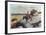 Riding Chuck Line-Duane Bryers-Framed Limited Edition