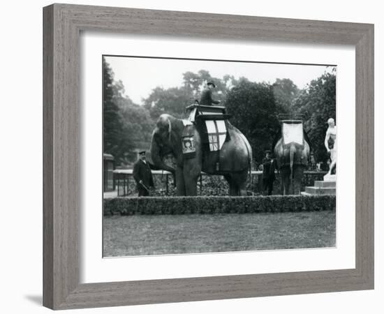 Riding Elephants Bedecked for the Peace Day Celebrations, 19th July 1919-Frederick William Bond-Framed Photographic Print