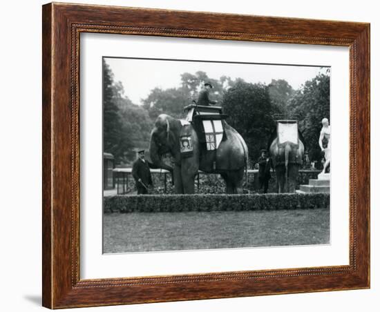 Riding Elephants Bedecked for the Peace Day Celebrations, 19th July 1919-Frederick William Bond-Framed Photographic Print