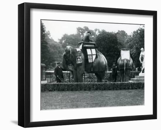 Riding Elephants Bedecked for the Peace Day Celebrations, 19th July 1919-Frederick William Bond-Framed Photographic Print