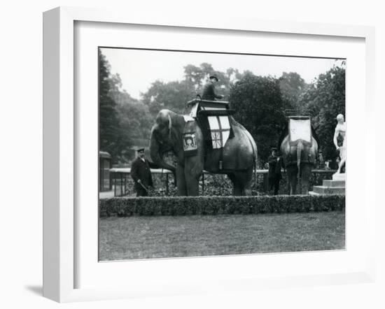 Riding Elephants Bedecked for the Peace Day Celebrations, 19th July 1919-Frederick William Bond-Framed Photographic Print