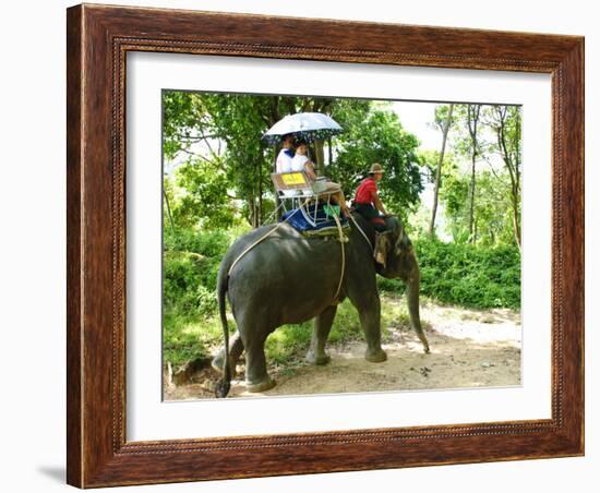 Riding Elephants in the Chalong Highlands, Phuket, Thailand, Southeast Asia, Asia-Nico Tondini-Framed Photographic Print