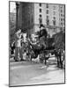 Riding in StyleCarriage Driver at Grand Army Plaza 02002_H)-null-Mounted Photo