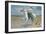 Riding on the Strand-Frank P. Stonelake-Framed Giclee Print