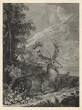 Woodland Deer VII-Ridinger-Framed Art Print